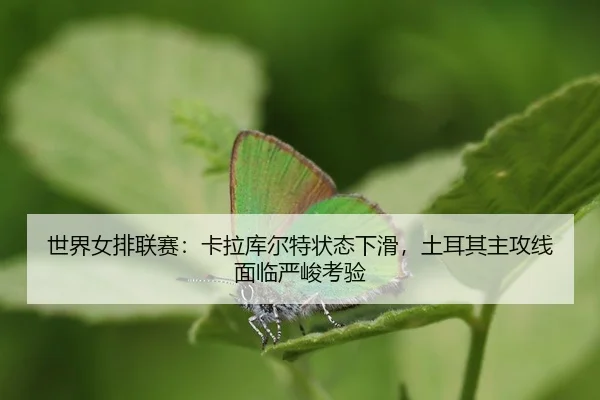 shi-jie-nv-pai-lian-sai-ka-la-ku-er-te-zhuang-tai-xia-hua-tu-er-qi-zhu-gong-xian-mian-lin-yan-jun-kao-yan-3-790.jpg