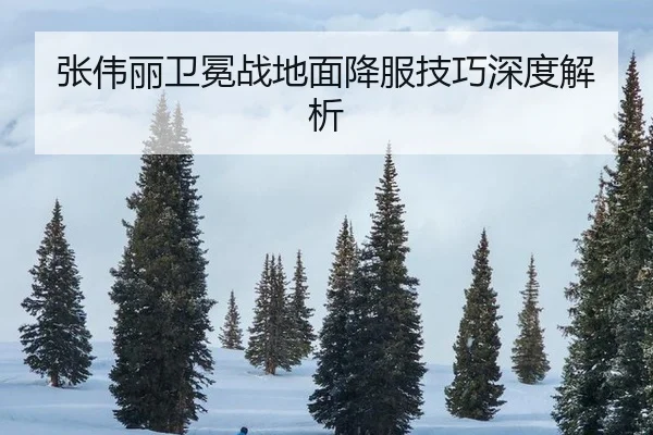 zhang-wei-li-wei-mian-zhan-di-mian-xiang-fu-ji-qiao-shen-du-jie-xi-2-467.jpg