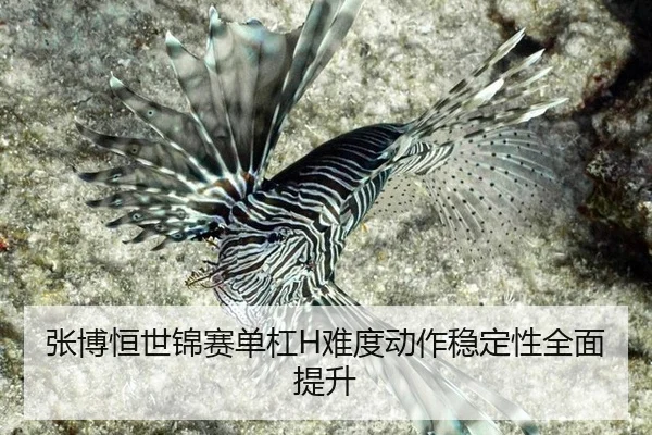 zhang-bo-heng-shi-jin-sai-dan-gang-nan-du-dong-zuo-wen-ding-xing-quan-mian-ti-sheng-2-222.jpg