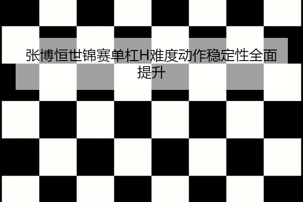 张博恒世锦赛单杠H难度动作稳定性全面提升